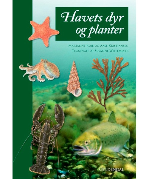 Havets dyr og planter - Billede 2